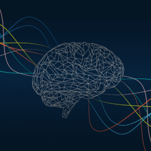 Principios de la Neurocomunicación